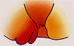 _the_img_3.gif